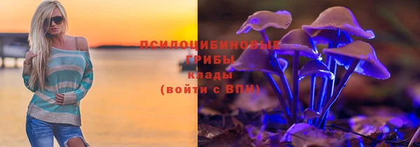 спиды Богданович
