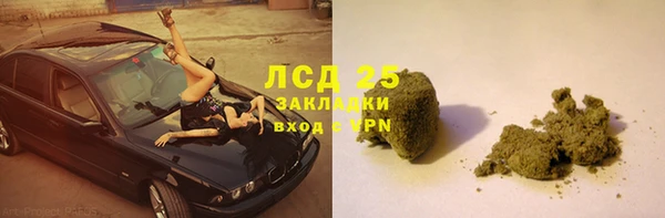 спиды Богданович