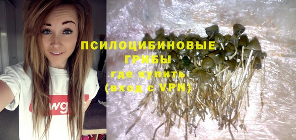 спиды Богданович
