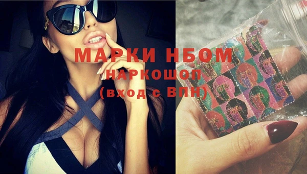 сатива Богородицк