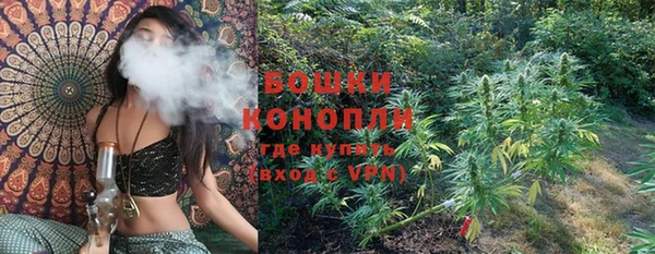 спиды Богданович