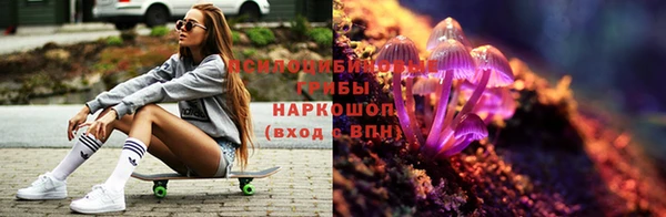 спиды Богданович