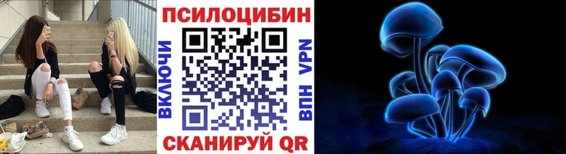 kraken вход  купить наркоту  Великий Новгород  Галлюциногенные грибы MAGIC MUSHROOMS 